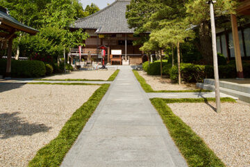 善福寺の参道