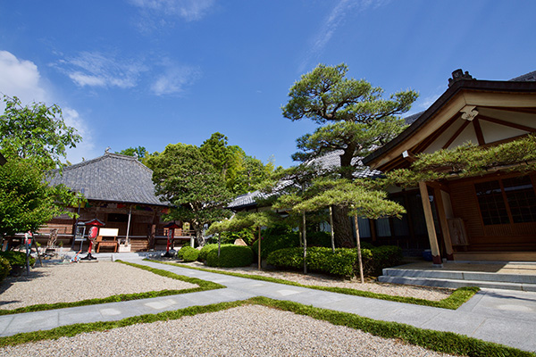善福寺について